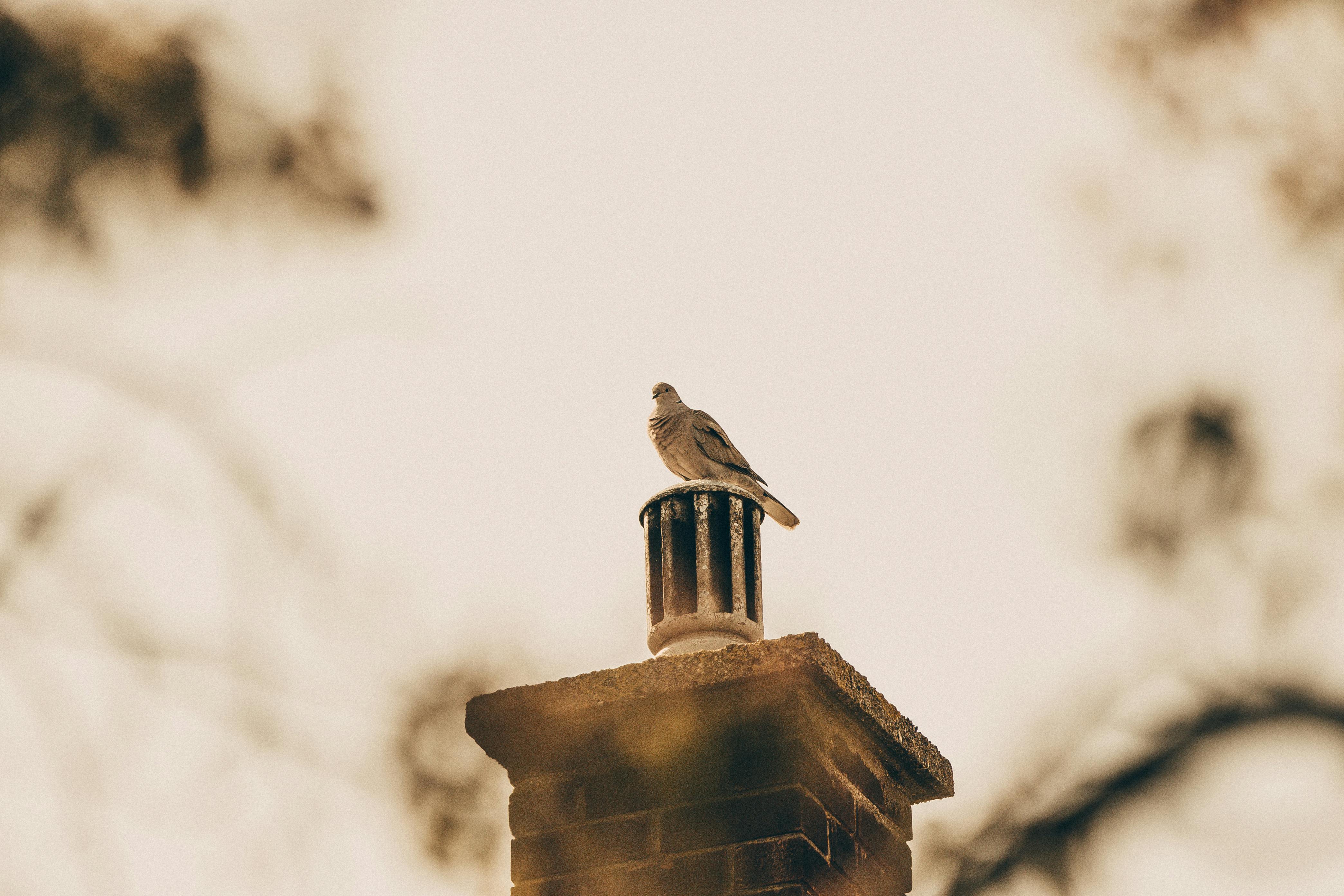 Professional Chimney Cap Installation Services in Lake Park, FL Expert Chimney Cap Installation in Lake Park, Florida